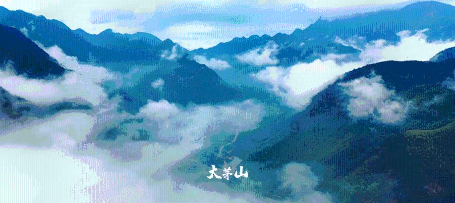 市场监管总局发布民生领域反垄断执法专项行动典型案例